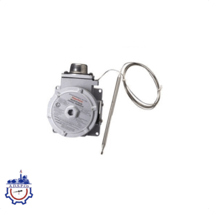 ترموستات ضد انفجار DigiTrace RAYSTATE-EX-02