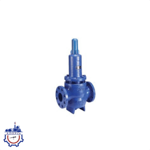 فشارکن آب ShinwooValve (۱ اینچ)