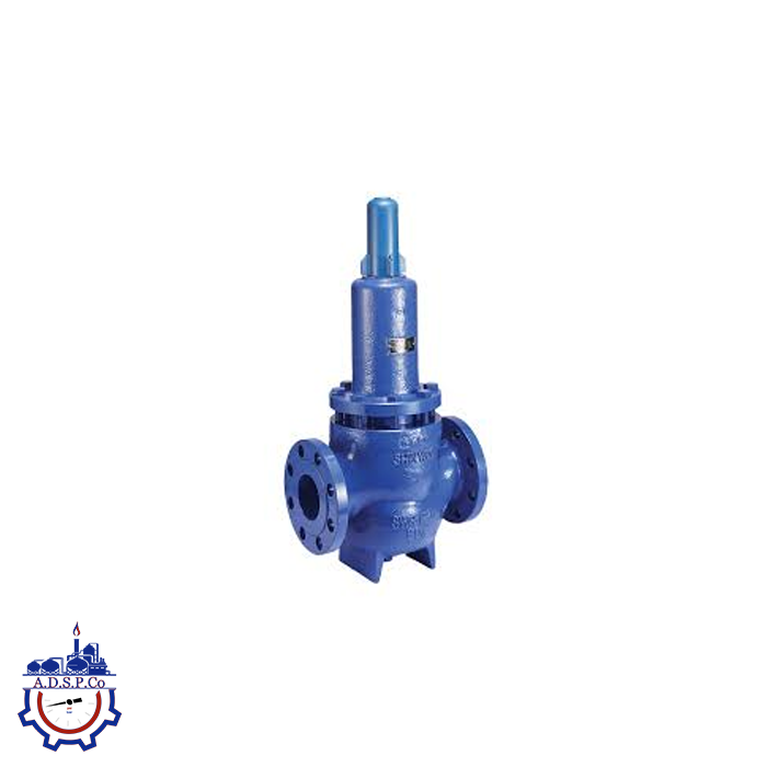 فشارکن آب ShinwooValve (۱ اینچ)